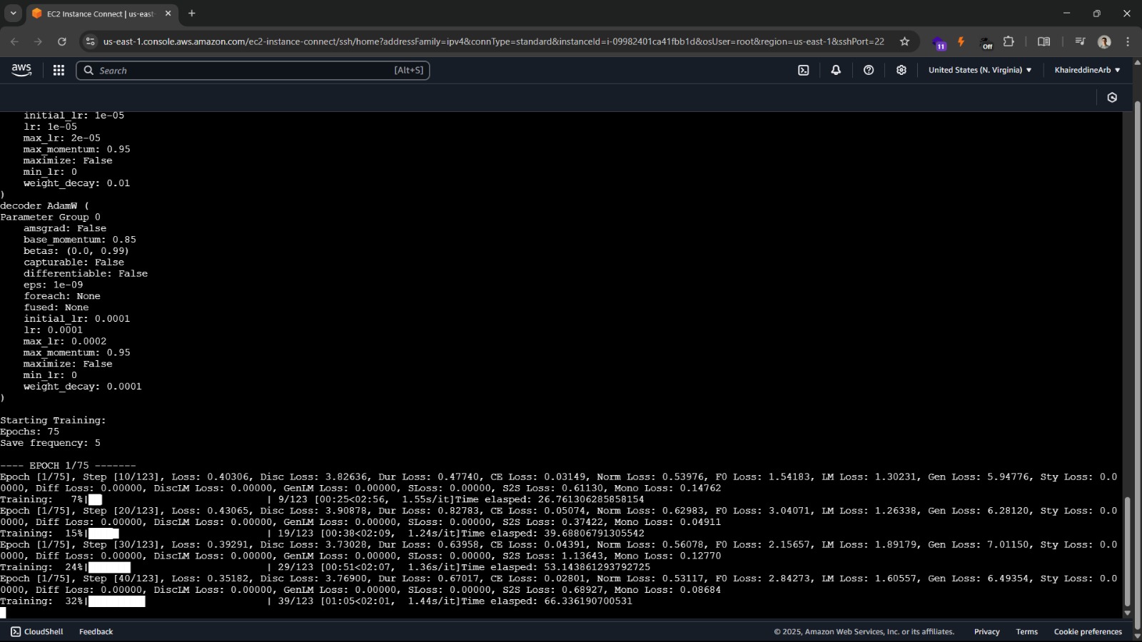 AWS EC2 finetuning